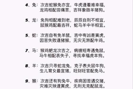 61年属什么生肖配对