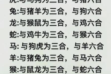 七九年属什么生肖配对