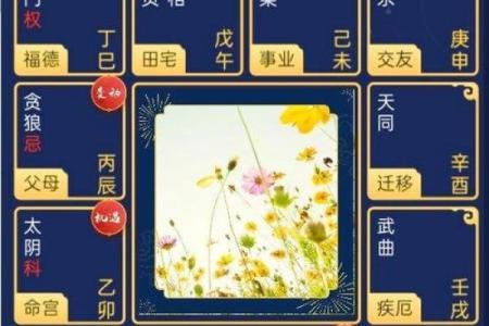紫微斗数下世 紫微斗数!？