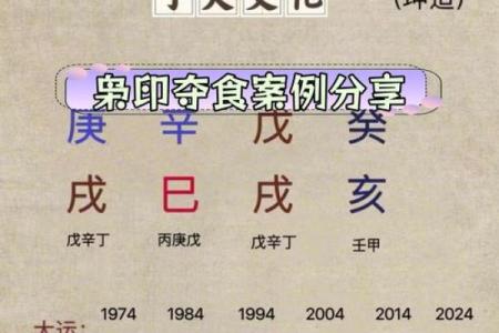 算命说有枭什么意思 命运如何