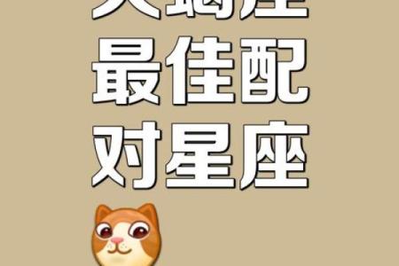 最佳合伙人的天蝎座配对