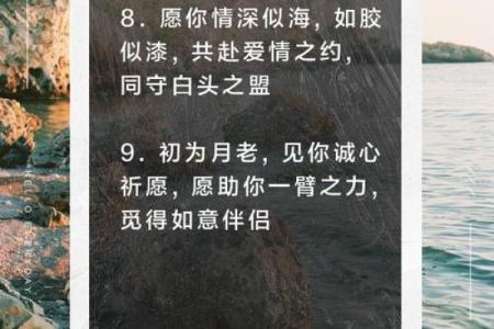 月老姻缘的唯美句子 关于月老姻缘的句子？