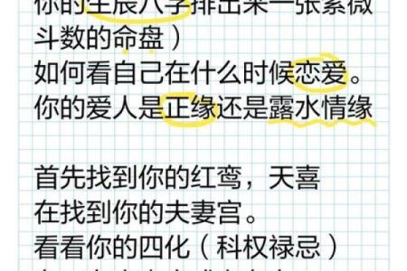紫薇斗数夫妻际遇