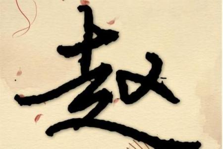 赵字姓名图像配对大全男 赵字好名字？