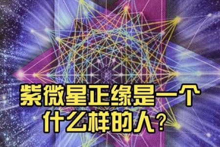 年紫薇星降世