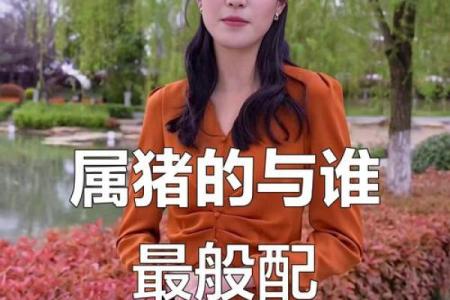 猪跟什么生肖配对最好 生肖猪最佳配对