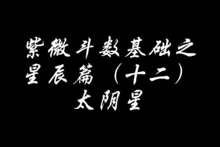 紫微斗数诸星落诸宫之：太阴星兄弟宫详解