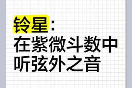 紫薇斗数大财太阴铃星