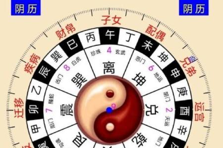 蔡辰洲紫薇斗数