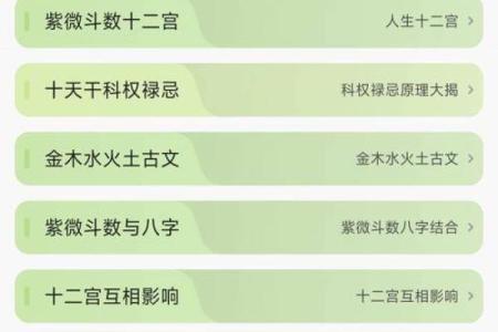 紫薇豆斗数软件