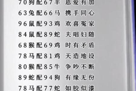十二肖和十二生肖配对,十二生肖最佳婚配表是怎样的？