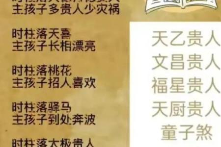 八字文昌加学堂：打造最优秀的文化教育平台