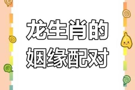 龙跟什么生肖配对最好 生肖龙最佳配对