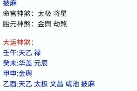 生辰八字宝宝起名软件