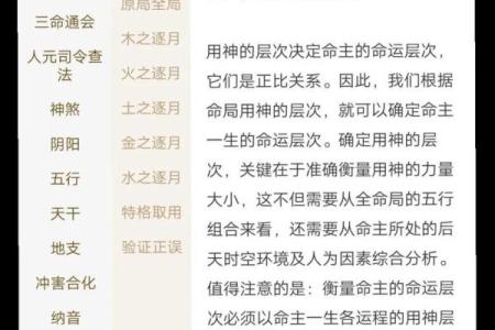 神巴巴生辰八字解析及未来运势简评