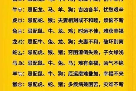 属马女性配对大揭秘：羊男VS狗男，成功婚姻密码在哪？