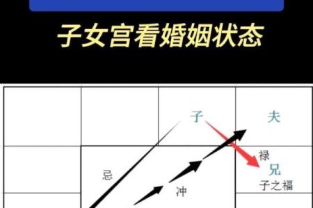 紫薇斗数看胸围