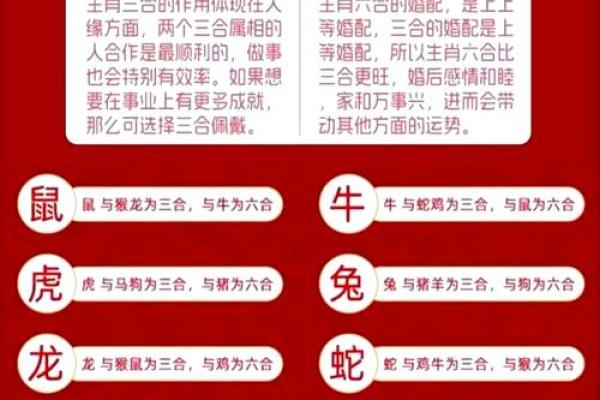 有助男人事业运的生肖配对