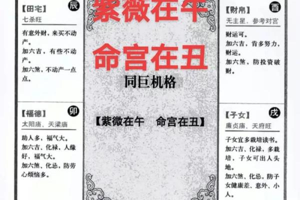 网盘紫薇斗数