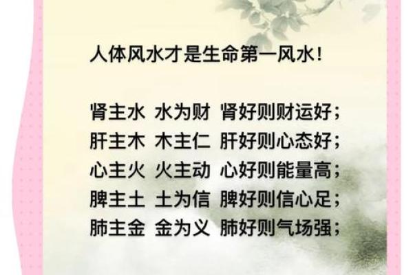 风水先生：人世间最上乘的风水