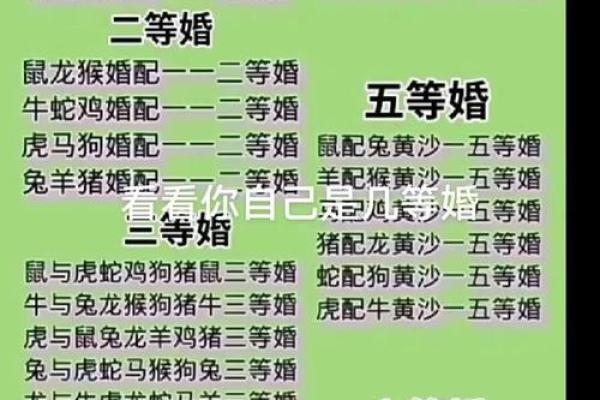 属龙和属鼠的八字合吗