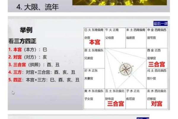 梅花占卜和紫薇斗数的区别