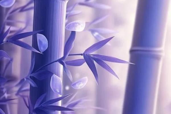 色彩在风水当中到底隐藏着什么力量？