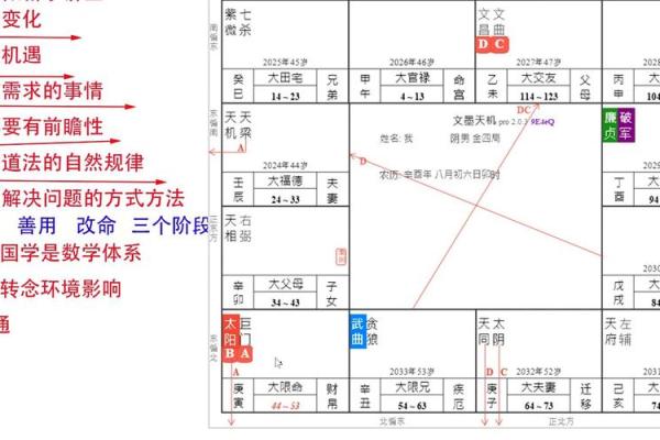 紫薇斗数正格