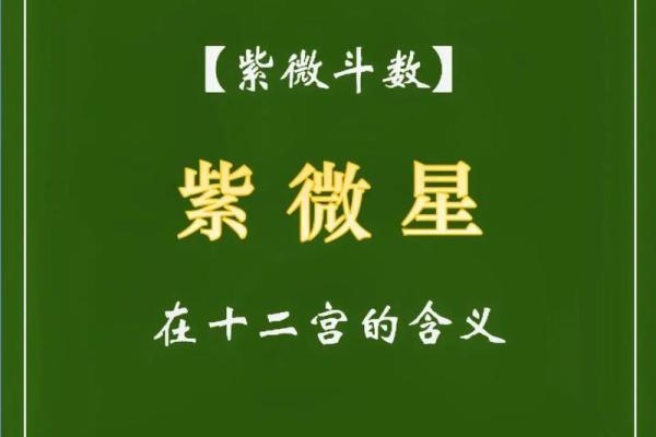 紫薇课堂第四十六节～戴师讲紫薇之破军星#易学智慧
