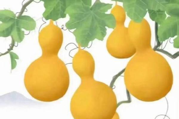 风水开光葫芦可以化解煞气吗？效果好不好？