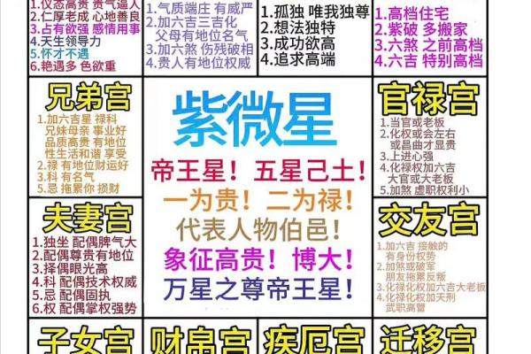 破紫薇斗数排盘