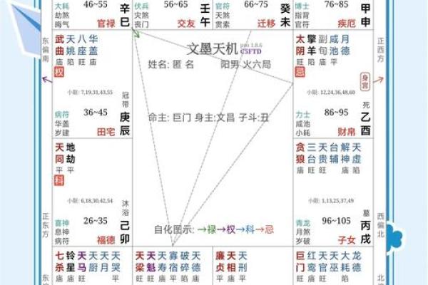 紫薇斗数流日求职
