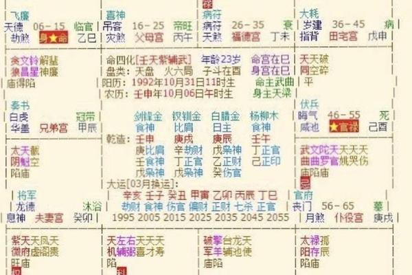 紫薇斗数官禄宫天府