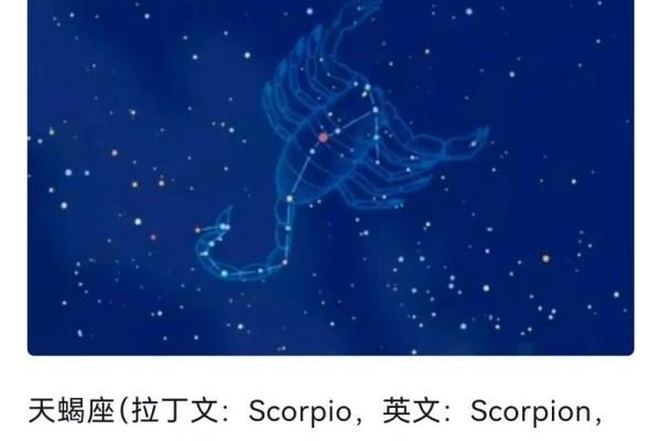 测试天蝎座适合哪个职业呢