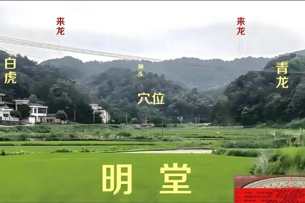 坟地风水顺口溜详解