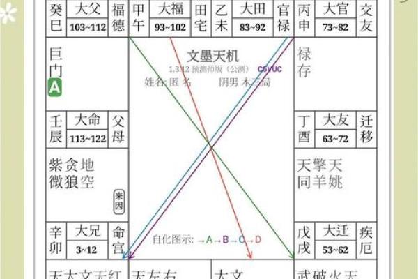 紫微斗数命盘12个宫位
