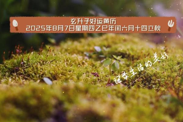 2024年8月7日是买房吉日吗