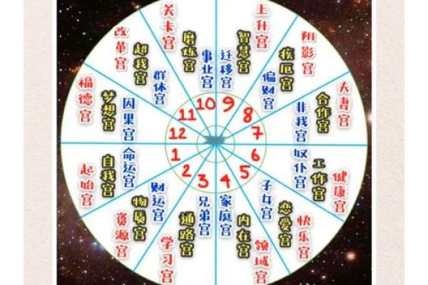 八字婚姻宫坐十二宫位置