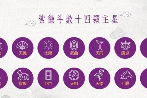 紫薇斗数各星代表意象表格