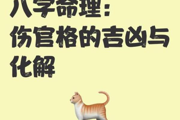 八字喜伤官
