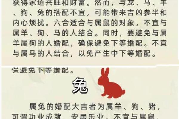 属兔的富豪出生在几月 属兔大富大贵的吉日出生