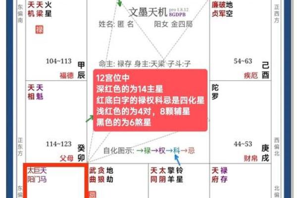 紫薇斗数太岁流年
