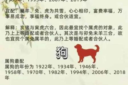 1982年属什么生肖配对最好 1982年属什么生肖的最佳配偶