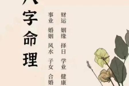 能靠自身努力而开拓前途的八字命局