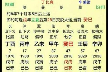 免费分析八字测算运势 看你是否能早日发大财