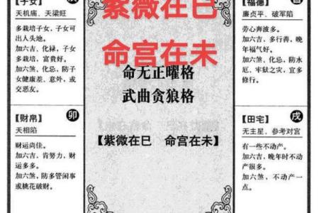 紫薇斗数里面的岁驿是什么意思
