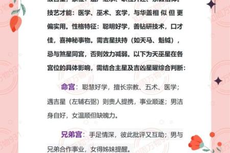 紫微斗数地劫星之十二宫释义