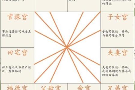 紫薇斗数怎么看二婚