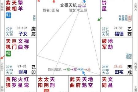 紫微斗数夫妻宫太阴星脸型