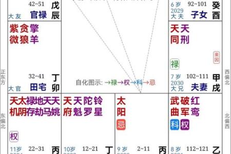 紫薇斗数入门深圳